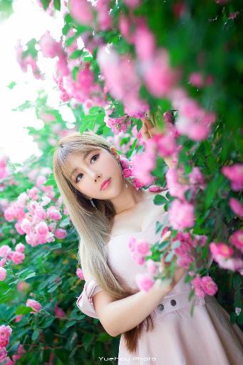 韩国伦理片手机在线观看播放